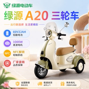 绿源A20国标电动车时尚简约三轮车电动摩托车日常通勤上班代步车