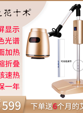 艾灸家用仪器宫寒熏蒸仪美容院养生理疗艾灸灯随身灸艾炙盒加艾绒