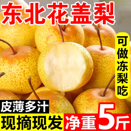 东北花盖梨新货正宗花盖梨鞍山特产软梨酸梨可做冻梨带箱5斤包邮