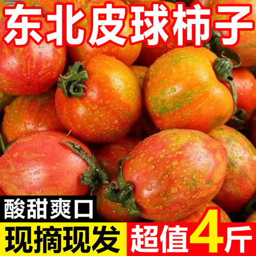 东北皮球柿子自家小园柿子虎皮柿子孕妇水果酸甜可口新鲜小番茄