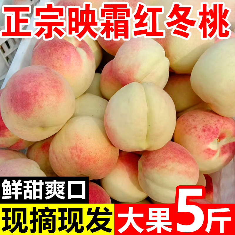 正宗映霜红冬桃现摘晚熟桃子孕妇水果金秋红蜜白桃白雪公主5斤