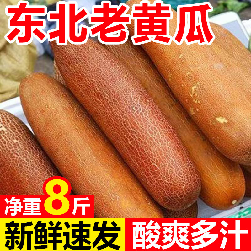 东北特产麻皮老黄瓜当季现摘农家新鲜蔬菜炖汤凉菜开胃酸黄瓜包邮