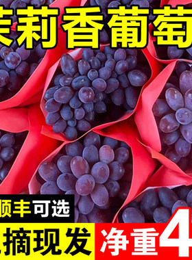 【顺丰可选】茉莉香葡萄现摘现发