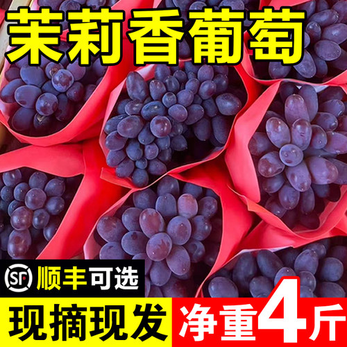 【顺丰可选】茉莉香葡萄现摘现发