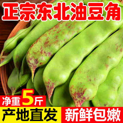 东北油豆角扁豆角一点红九月青