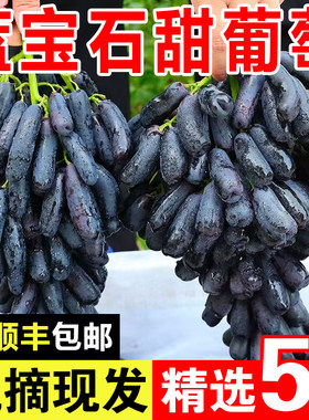 【顺丰包邮】现摘蓝宝石葡萄