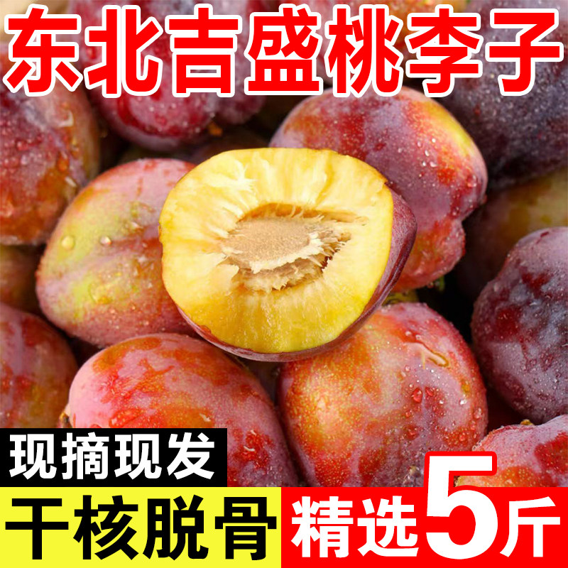 东北吉盛李子桃李子鸡心李子现摘新鲜干碗离核脱骨李应季水果5斤