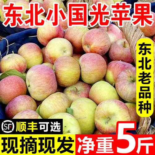 东北国光苹果水果老品种小苹果新鲜孕妇水果大连瓦房店小国光5斤