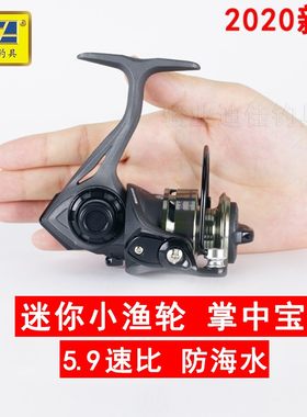小型钓鱼轮马口斜线杯矶钓纺车