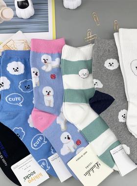 （狗中棉花糖Bichon）比熊犬周边比熊图案韩国东大门可爱个性女袜