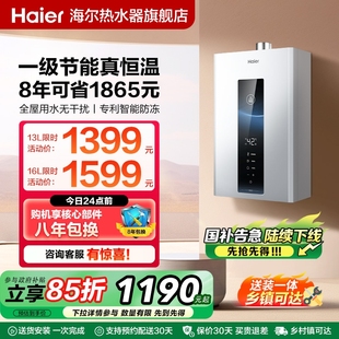 政府以旧换新海尔燃气天然气热水器一级节能水伺服恒温家用WM5PRO