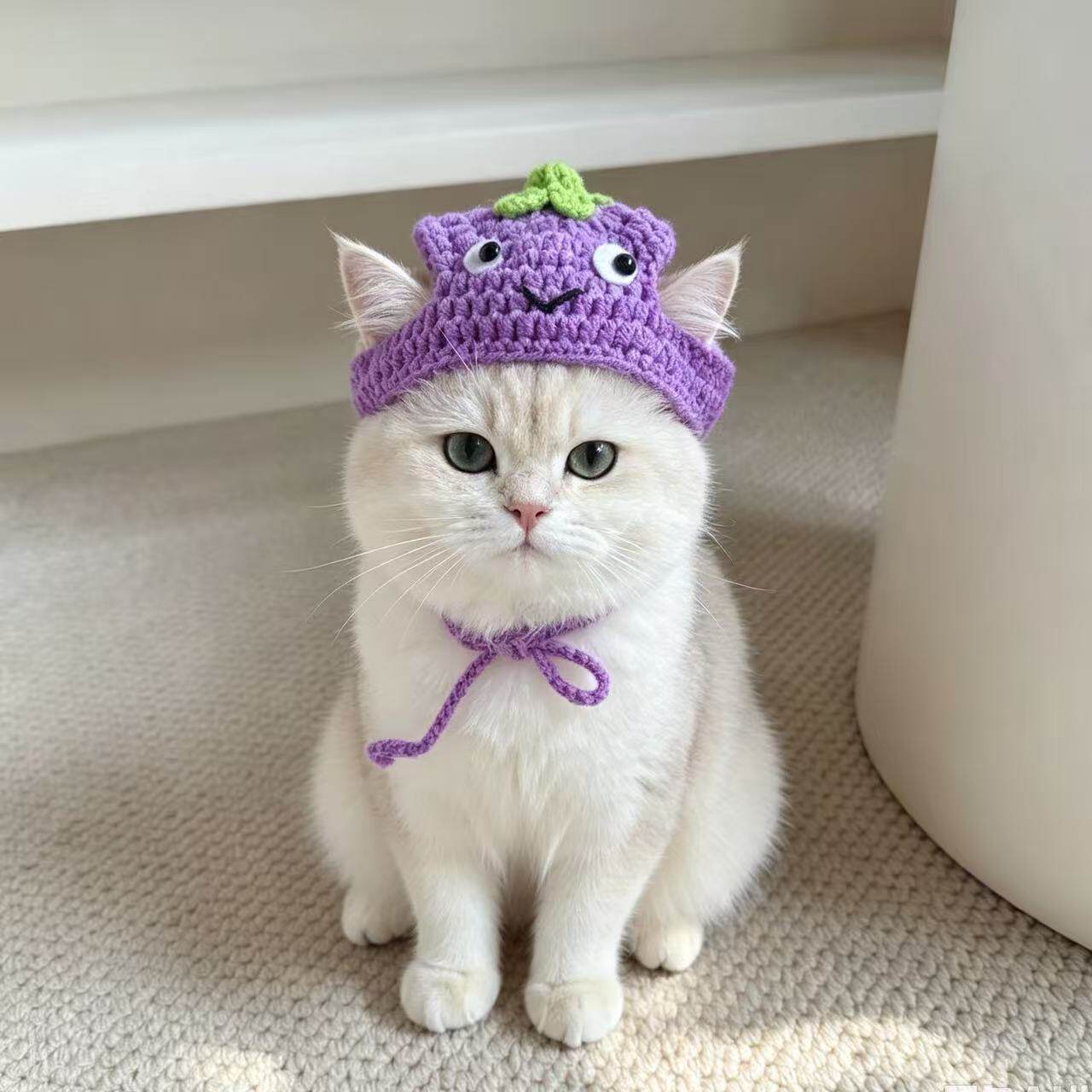 宠物茄子头套猫咪狗狗编织帽子道具头饰搞笑变身服小猫小狗装饰帽