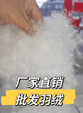厂家直销羽绒散装羽绒被填充物优质95大朵吊吊绒精洗无菌无味羽绒