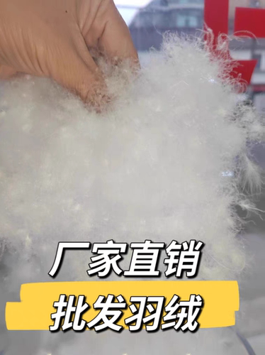 厂家直销羽绒散装羽绒被填充物优质95大朵吊吊绒精洗无菌无味羽绒