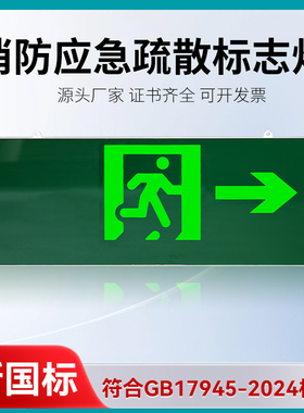 消防应急疏散标志灯欧迈德新国标GB17945-2024安全出口通道指示灯