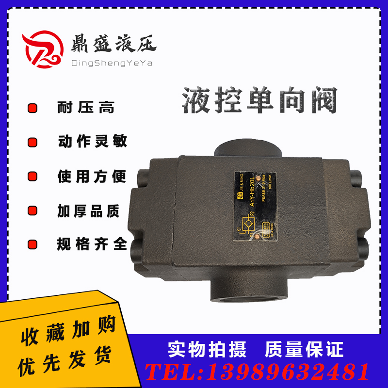 管式液控单向阀液压锁A1Y-Hb10L