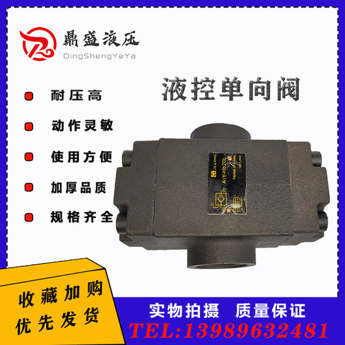 管式液控单向阀液压锁A1Y-Hb10L