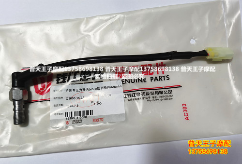 追赛600/QJ600GS-3A后刹开关