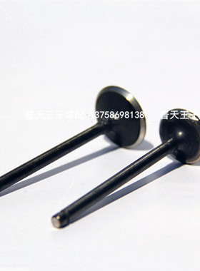 巡航 凯威QJ250-L/-J/-H XV250进气门 排气门 2V49FM气门