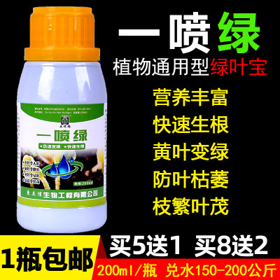 黄叶小叶卷叶一喷绿 微量元素叶面肥黄叶变绿 死苗烂根复活专用