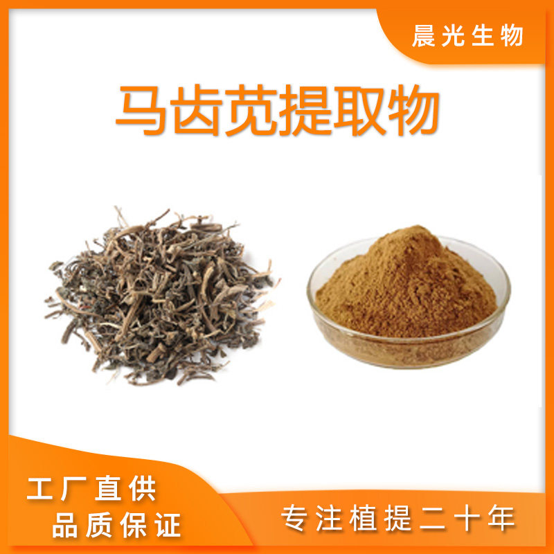 马齿苋提取物 马齿苋多糖 马齿菜植物提取粉末 马齿笕皂甙提取物