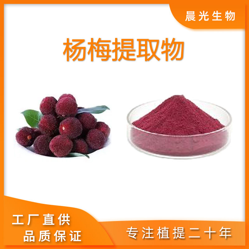 杨梅提取物 天然植物原料 杨梅果汁粉 喷雾干燥水溶粉100克 包邮
