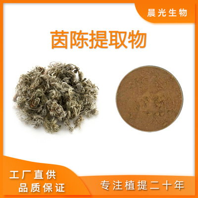 茵陈提取物 茵陈蒿提取物茵陈浓缩精华粉末30:1植物原料包邮