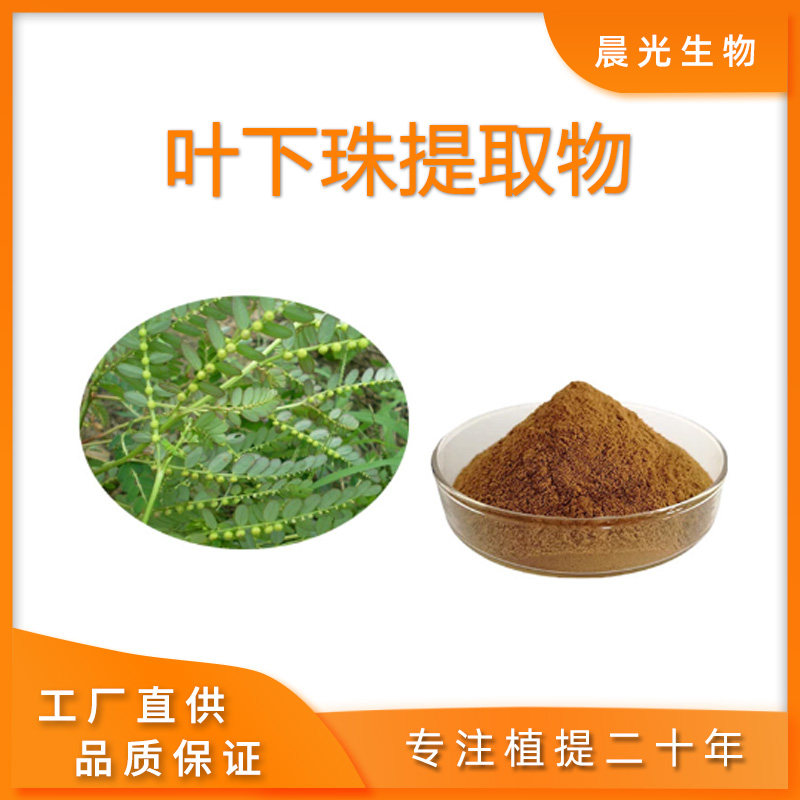 叶下珠提取物30:1 叶下珠粉浓缩粉植物萃取原料粉 珍珠草 水溶粉