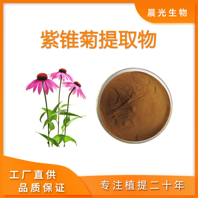 紫锥菊提取物20:1紫锥菊多酚4%多糖80%菊苣酸8% 量大从优现货直发