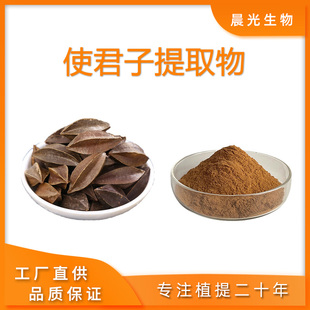 使君子提取物 使君子浓缩粉精华天然植物原料粉末30:1工厂现发