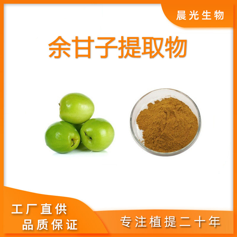 余甘子提取物 余甘果果多酚2%提取物 余甘子原料粉精华30:1包邮