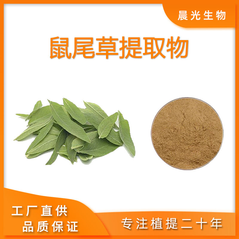 鼠尾草提取物 天然植物提取 石见穿提取物华鼠尾草浓缩粉末 现货