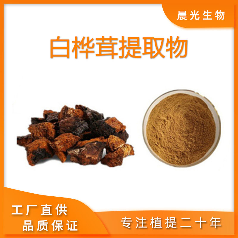 白桦茸提取物多糖桦褐孔菌