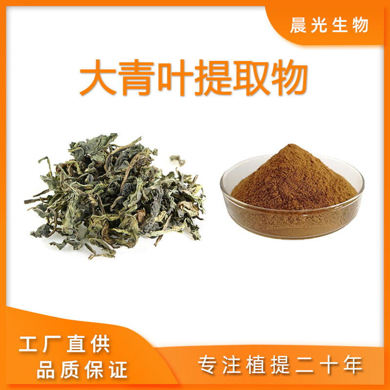 大青叶提取物 比例提取浓缩精华粉 纯天然水溶性粉末工厂包邮送勺