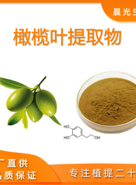 橄榄叶提取物 橄榄苦甙40%精品品质浓粉末精华专业植物原料工厂