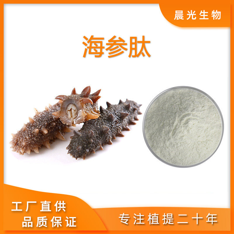 海参肽98%小分子低聚肽 胶原蛋白肽原料提取物100g海参多肽粉包邮