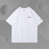 短袖 百搭半袖 T恤男子春季 时尚 圆领休闲运动服AHSR391 新款 李宁正品