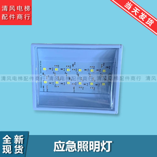 电梯通用LED应急灯应急照明德凌RKLB12应急灯 DC12V/6V/24V通用型