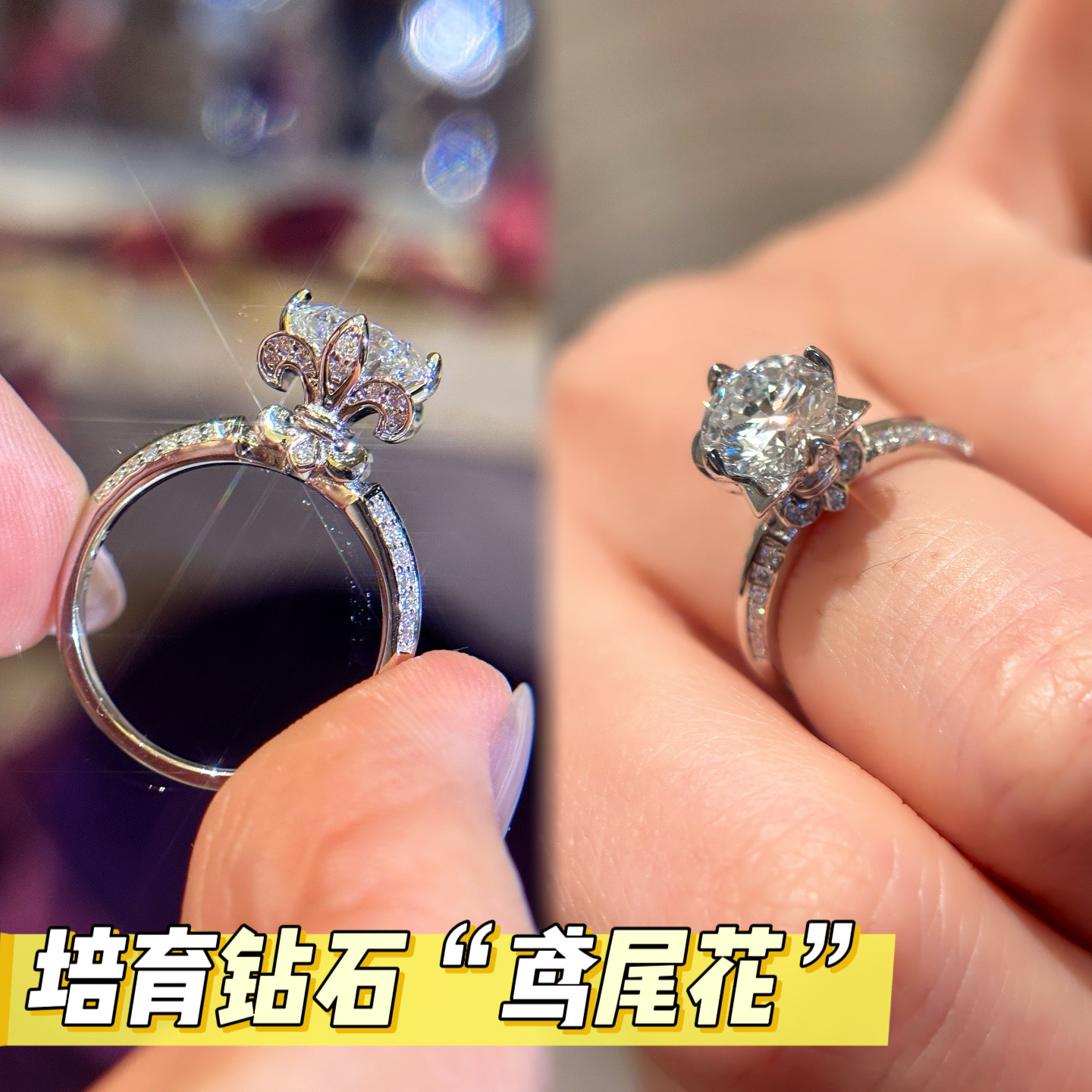 VISING《鸢尾花》培育钻石真钻戒指S925银镀金求婚钻戒