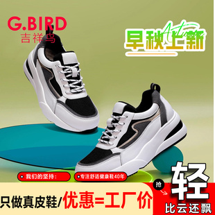 拼色单鞋 吉祥鸟老爹鞋 坡跟增高松糕鞋 女2025新款 6303 运动休闲时尚