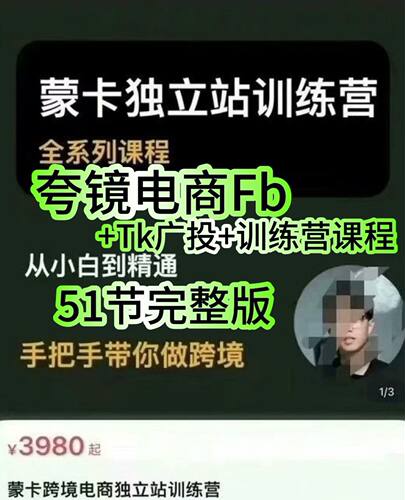 蒙卡•跨境电商独立站训练营