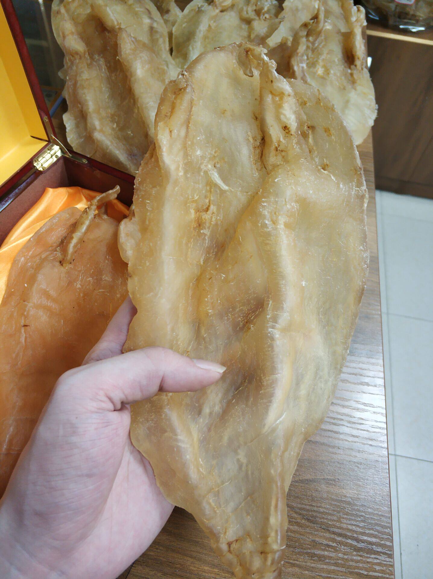 野生巴西北海鱼胶 鳘鱼胶 特大北海花胶1个约200克