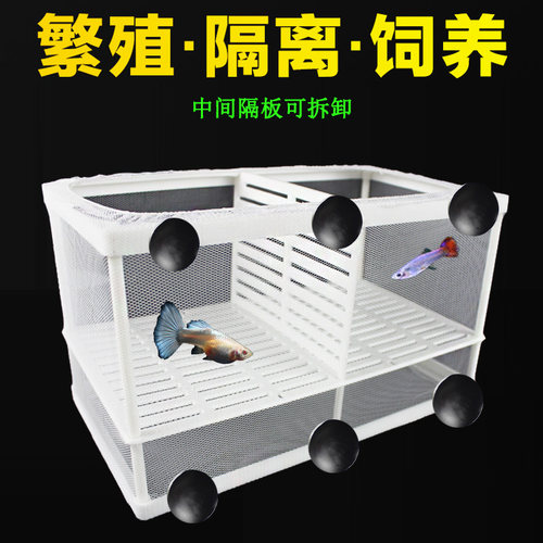 鱼缸隔板鱼缸隔离网小鱼隔离板热带鱼繁殖盒箱观赏鱼孔雀鱼孵化盒