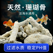 纯天然珊瑚骨鱼缸过滤材料珊瑚石底砂鱼池滤材造景沙海鲜池净化水