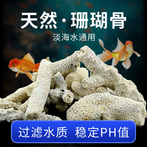 天然珊瑚骨鱼缸滤材造景沙净化水