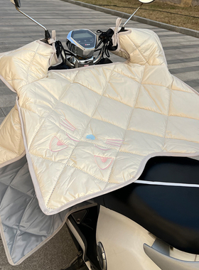 四季中厚电动车挡风被冬季防水夏季防晒遮阳罩电瓶摩托车薄款加绒