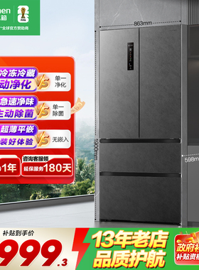 容声517L双净法式四门超薄零嵌入式家用大容量电冰箱官方正品