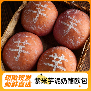 筱时候 紫米芋泥奶酪软欧包法式夹心手作早主食营养饱腹现做现发
