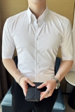 春夏大领衬衫男中袖薄款潮流帅气修身休闲立领纯色衬衣C2308-P65，男装衬衫，电商C308