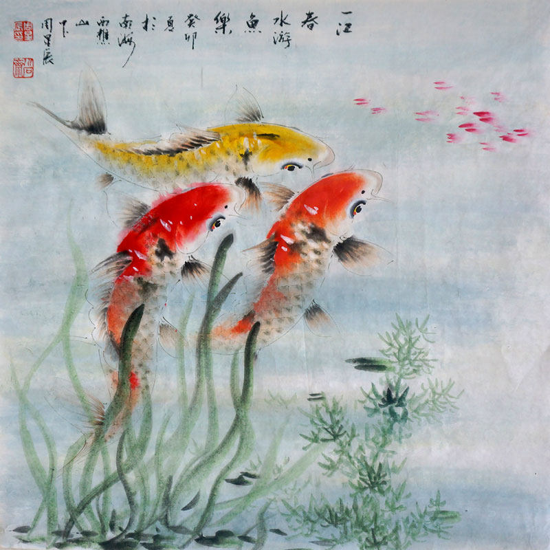 周星辰纯手绘国画四尺斗方锦鲤鱼一江春水游鱼乐客厅吉祥如意有余
